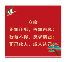 1650252366835762.png image.png